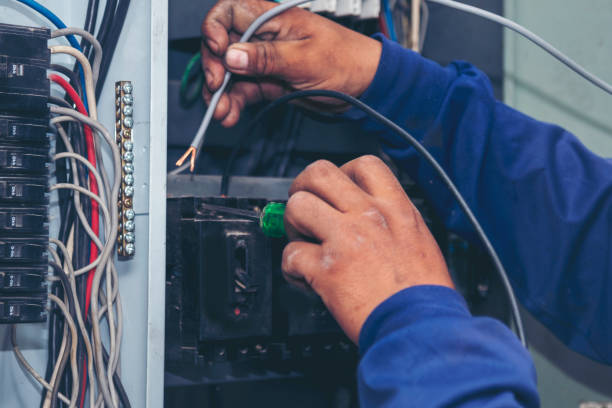 Best Generator Installation Services  in Collinsvle, IL