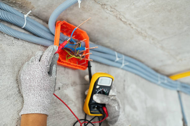 Best Electrical System Inspection  in Collinsvle, IL
